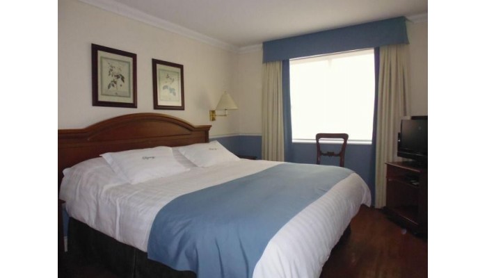Regency Carrasco - Suites & Boutique Hotel poza 2