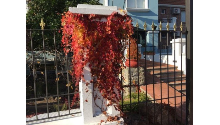Regency Carrasco - Suites & Boutique Hotel poza 10